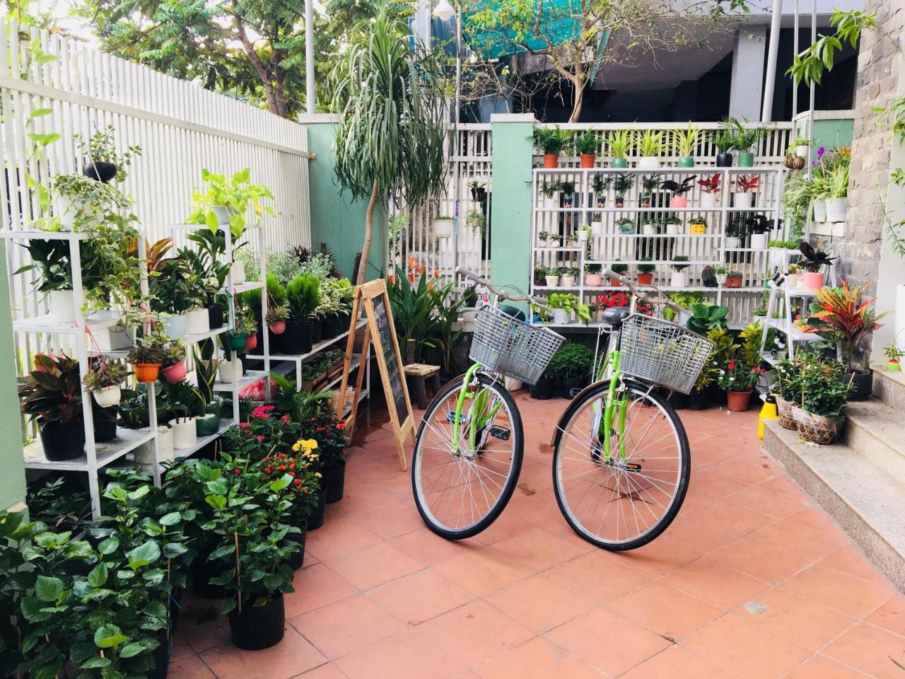 Bamboo Homestay הואה מראה חיצוני תמונה