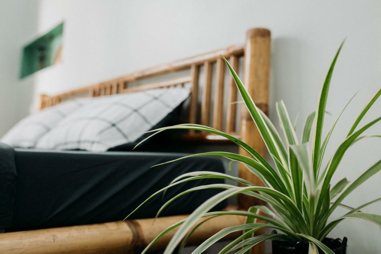 Bamboo Homestay הואה מראה חיצוני תמונה